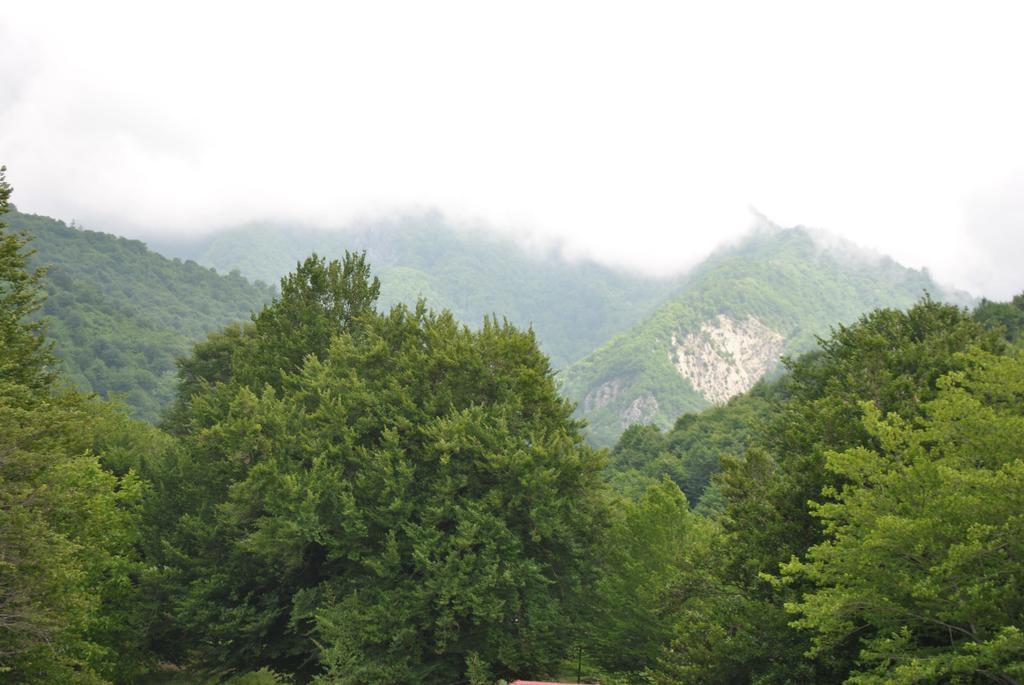 Talistan Forest Park酒店 外观 照片