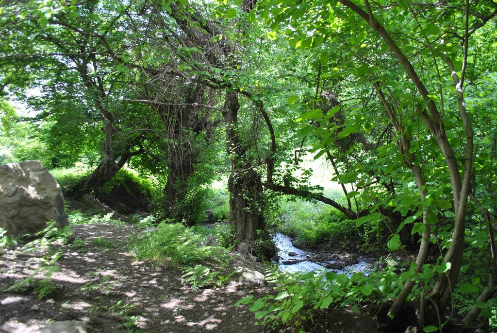 Talistan Forest Park酒店 外观 照片