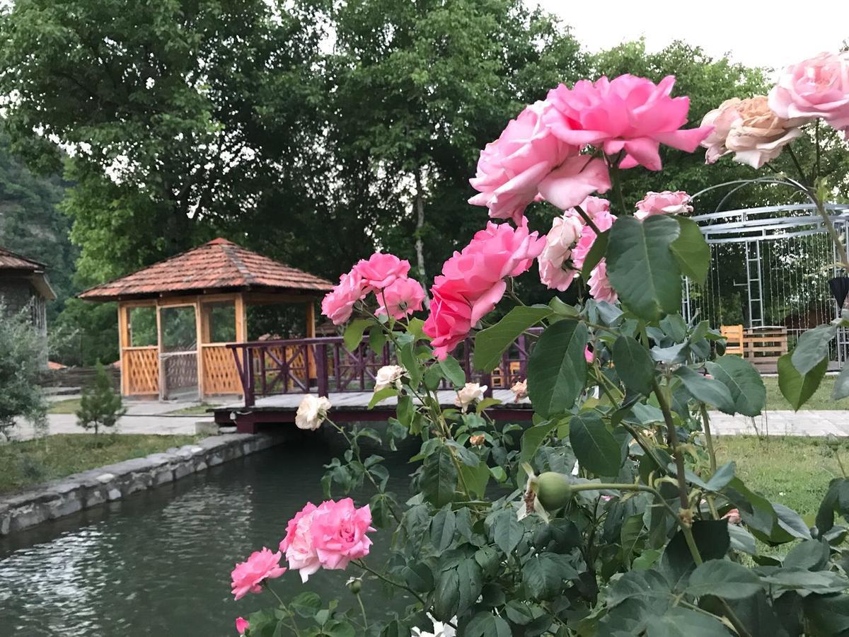 Talistan Forest Park酒店 外观 照片