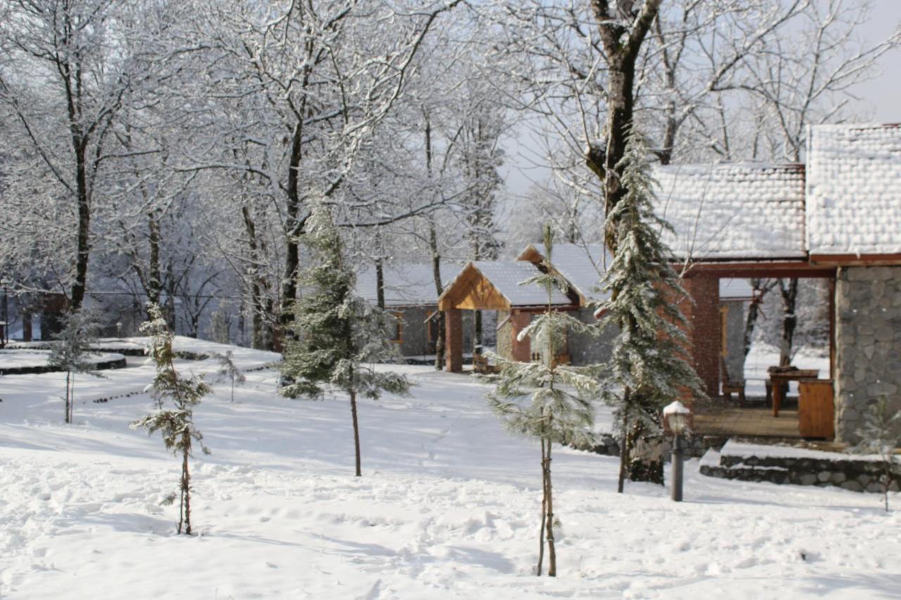 Talistan Forest Park酒店 外观 照片